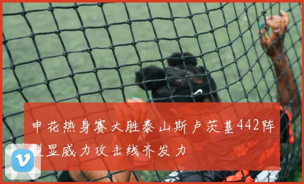 申花热身赛大胜泰山斯卢茨基442阵型显威力攻击线齐发力