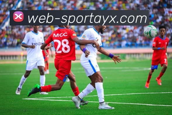 App Interface Preview